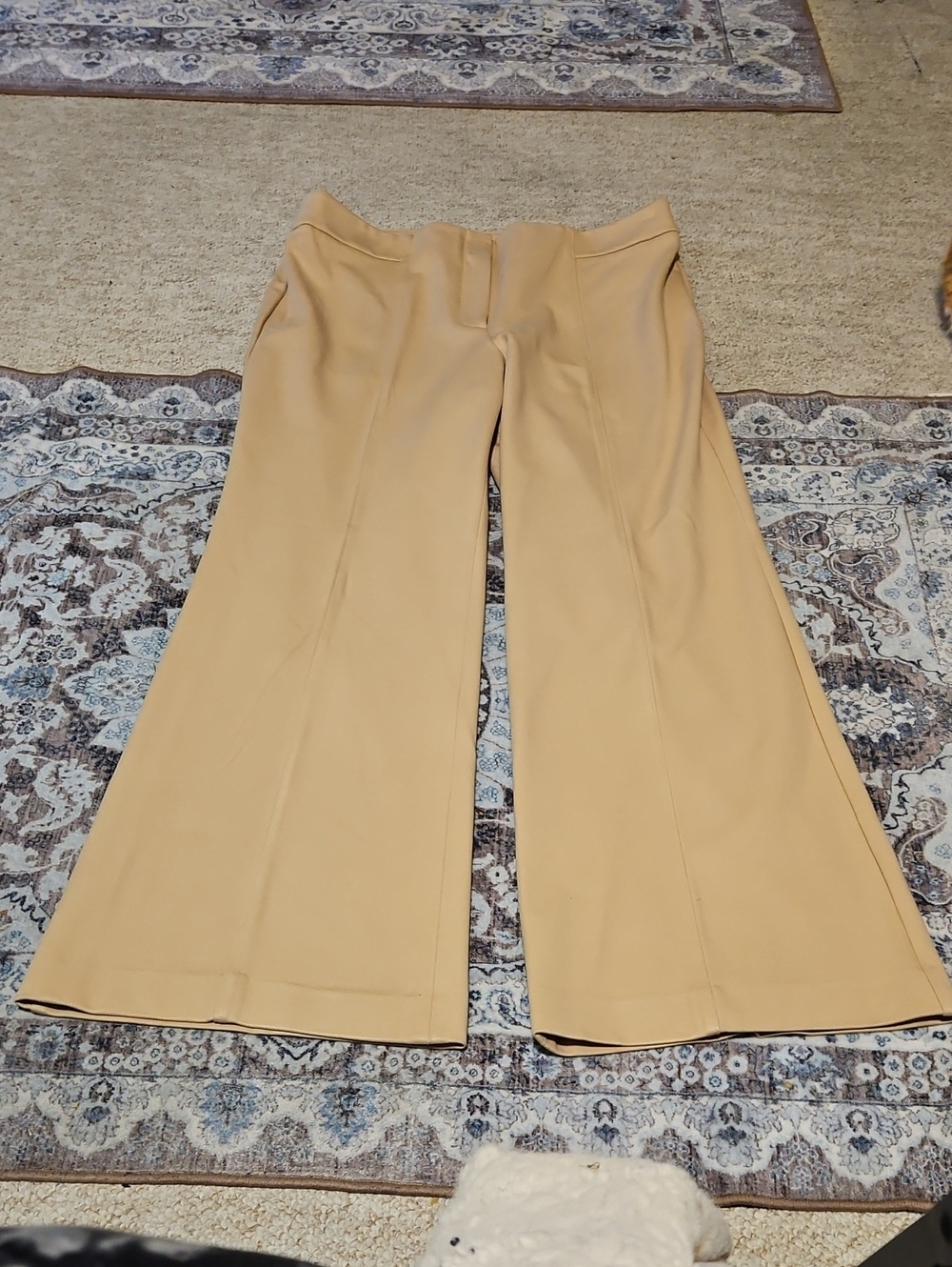 Talbots Wide-Leg Trousers in Camel Beige